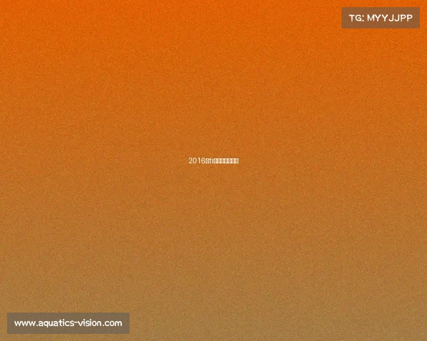 2016年ti杯电子竞赛题目 2016年ti杯电子竞赛题目