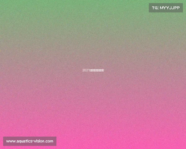 2021京东杯电子竞技官网