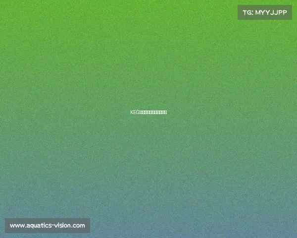 KEG战队：新征程，谁与争锋