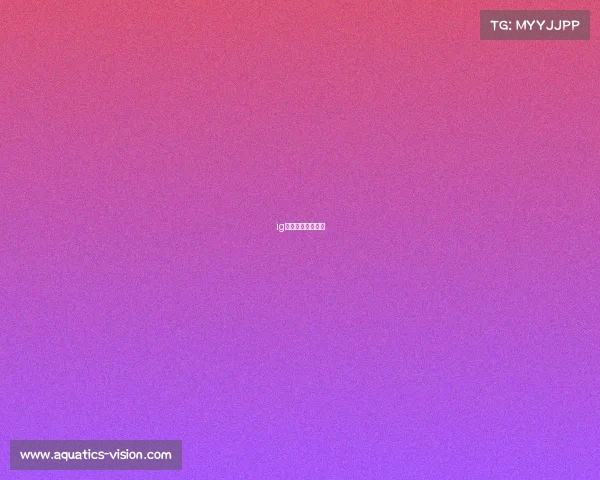 ig电子竞技旗下公司 ig电子竞技旗下公司