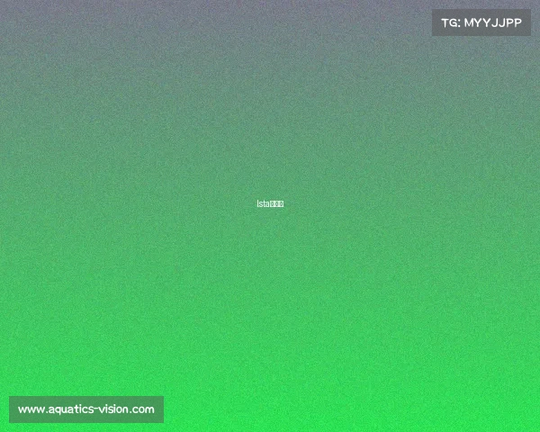 lsta看天下 lsta看天下