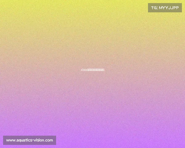 xbox电子竞技好玩的游戏推荐