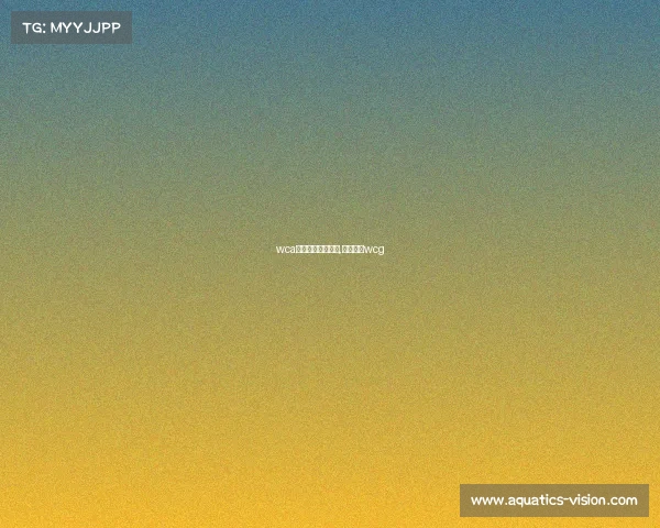 wca电子竞技比赛视频,电子竞技wcg