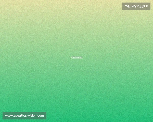 《巅峰王座：重临》