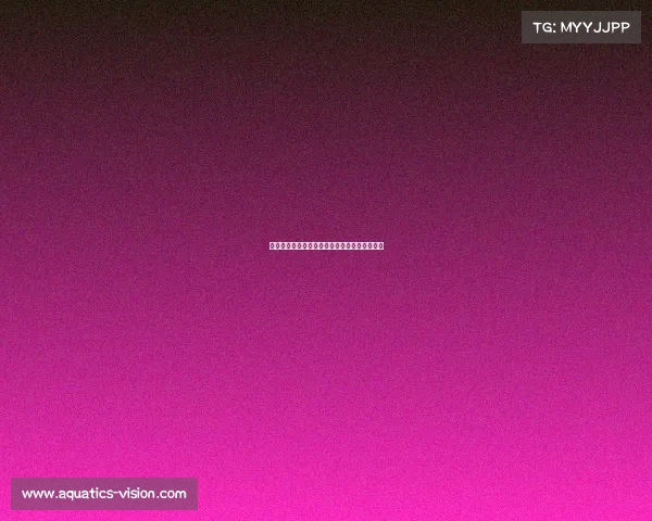 《瞄准职业赛场:电子竞技专才的升学新赛道》 《瞄准职业赛场:电子竞技专才的升学新赛道》