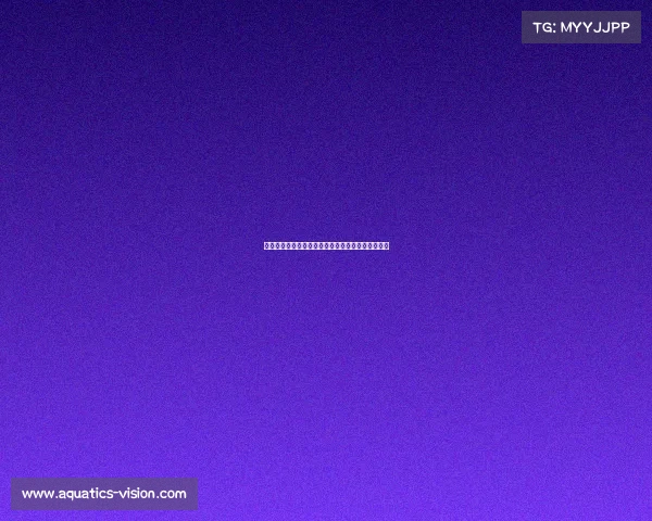 《全球巅峰战电竞男神争霸,谁能加冕最强王者?》 《全球巅峰战电竞男神争霸,谁能加冕最强王者?》