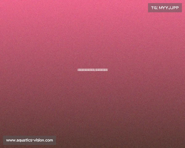 一级电子竞技运动员证书;电子竞技资格证书