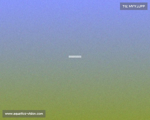 上海电子竞技专业学校 上海电子竞技专业学校