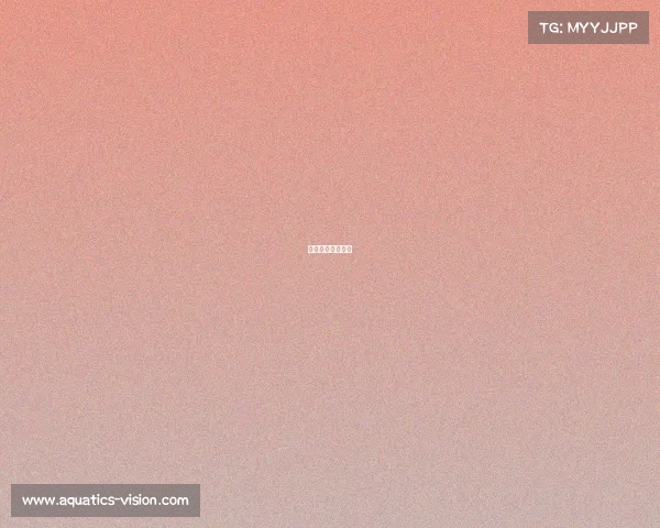 中国高校电子竞技