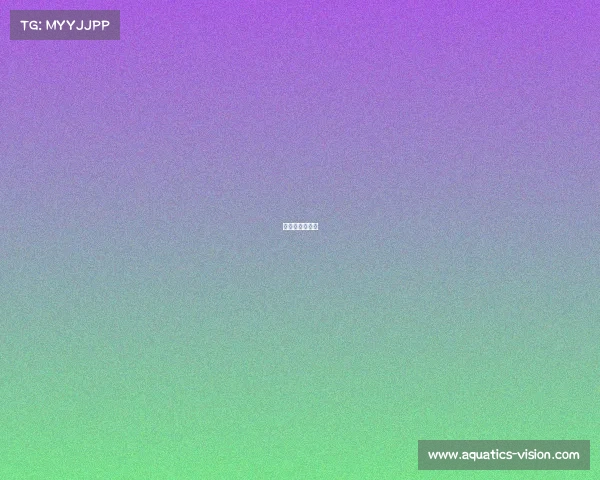 亚运会电竞录像