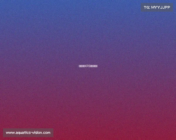 以智取胜KRS的战术革新