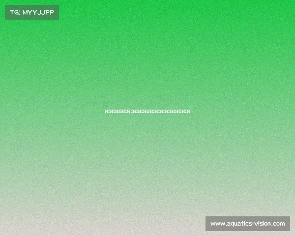 佛山电子竞技职业联赛,佛山电竞赛事战火重燃，佛职联赛迎来新一轮巅峰对决