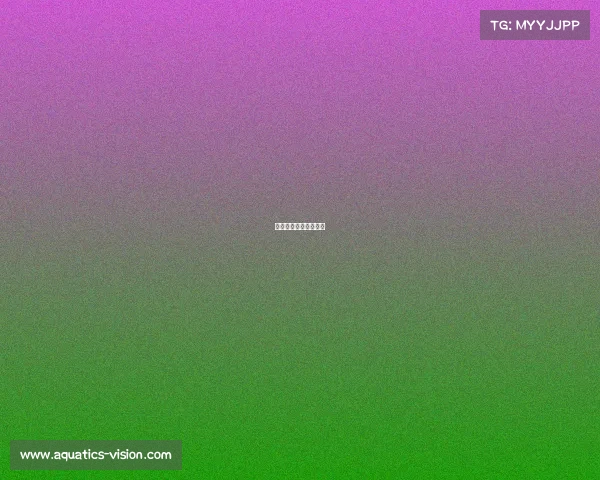 党员电子竞技比赛方案