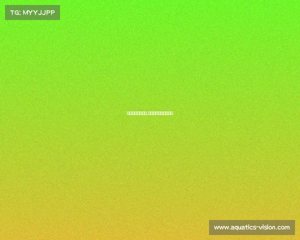 四川电子竞技学校,四川电子竞技协会官网