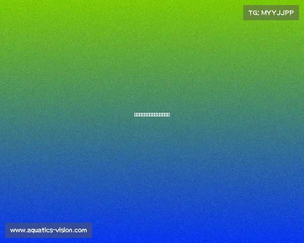 大学生电子竞技总结报告怎么写