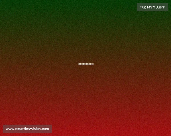 头头竞技体头头竞技体育