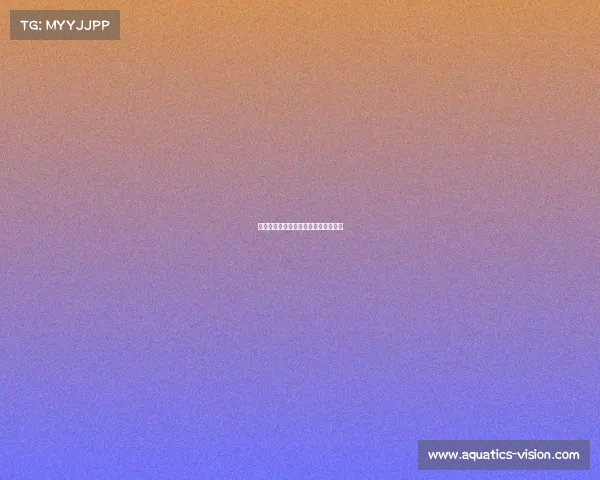 她与她的荣耀之巅：双女主的电竞之路