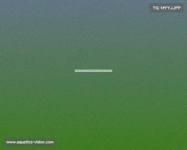 惠城区电竞酒店惠安电竞奏响战歌,全新征程即将开启 惠城区电竞酒店惠安电竞奏响战歌,全新征程即将开启