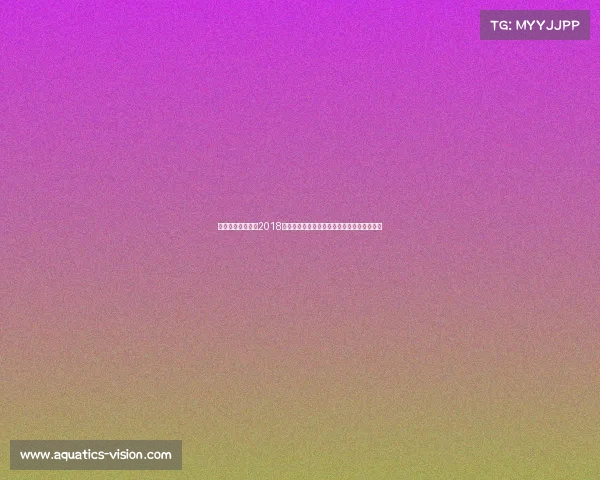 成都电竞比赛时间2018—蓉城竞逐电竞之巅，全球高手引爆虚拟战场