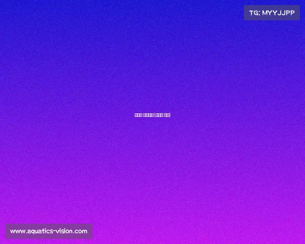 新华网 电子竞技(新华社 电竞) 新华网 电子竞技(新华社 电竞)