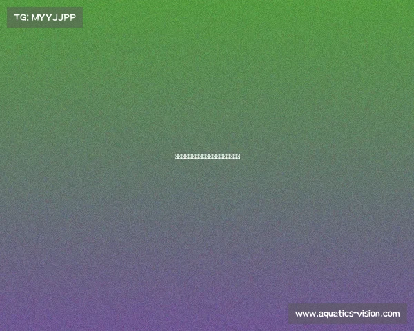 日本电子竞技留学、日本的电竞水平怎么样 日本电子竞技留学、日本的电竞水平怎么样