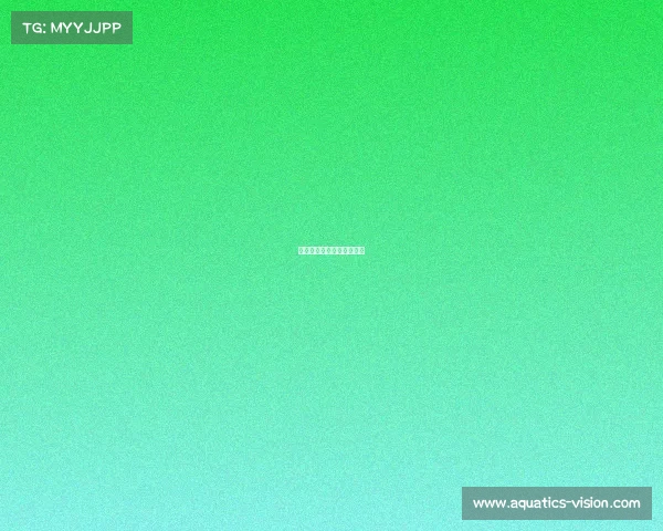 欧美电子竞技产业经济环境