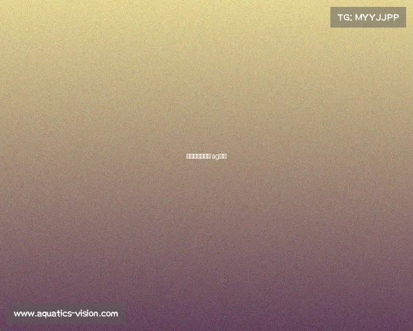 永利红电子竞技 ag永利