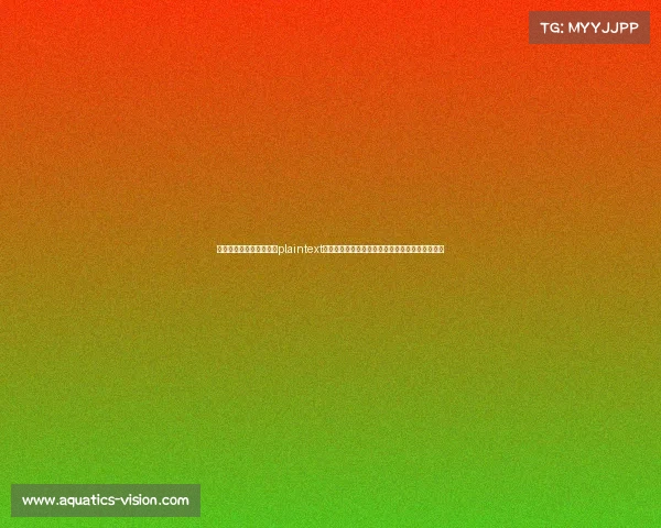 电子竞技什么时候批准、plaintext电子竞技国标十二月落地，行业迈向规范化新阶段