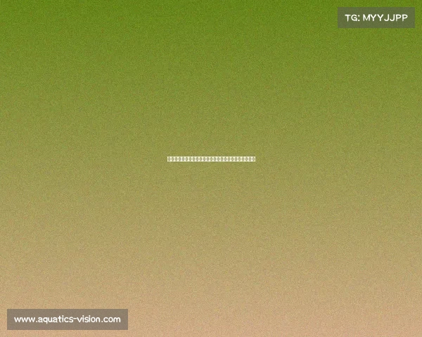 电子竞技与情感电子竞技与电子游戏之间有着怎样的关系