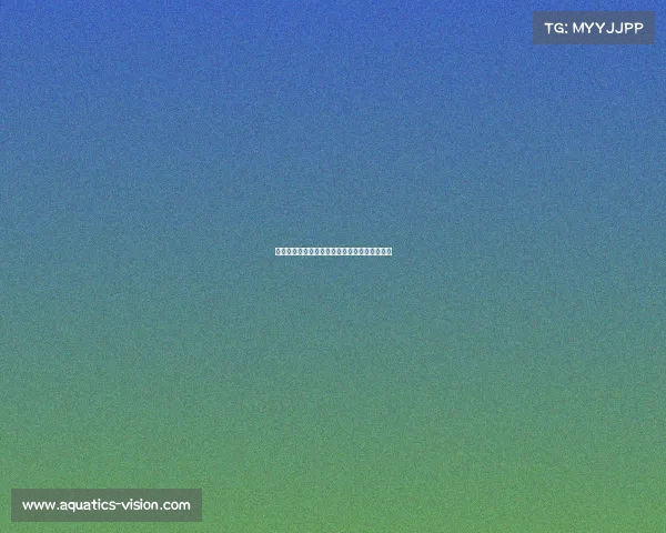 电子竞技怎么没有转售了—电子竞技最高转会费