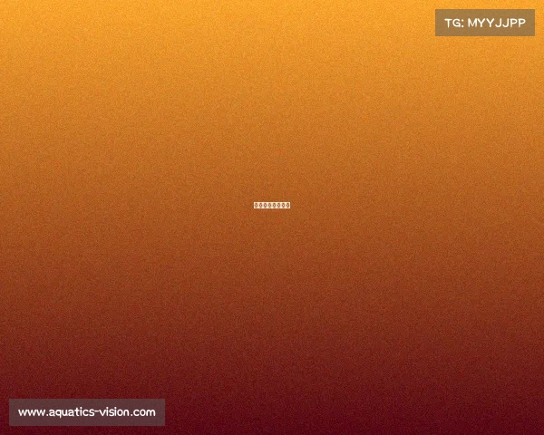 电子竞技是什么？