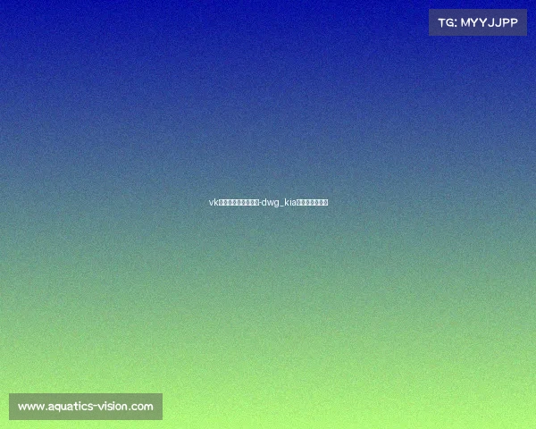 vk冬季电子竞技挑战赛-dwg_kia电子竞技俱乐部 vk冬季电子竞技挑战赛-dwg_kia电子竞技俱乐部
