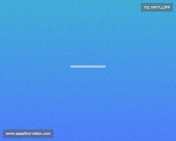 《锻造未来赛场：高校电竞管理人才的孵化路径探析》