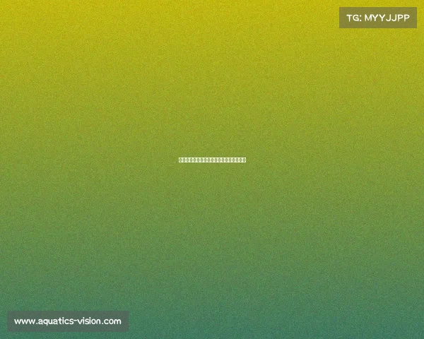 中国电子竞技冠军记录—中国电子竞技夺冠