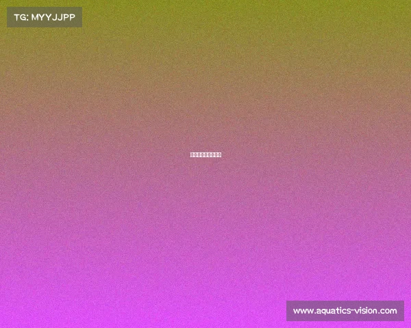 初中学电竞有前途吗