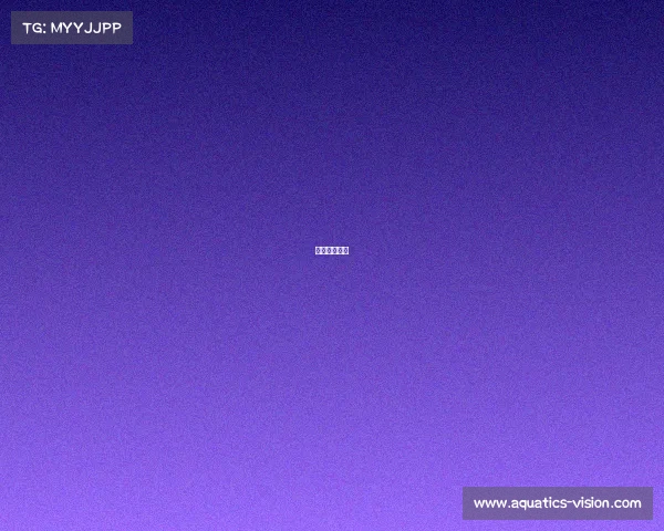 电子竞技奖金 电子竞技奖金